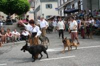 IMG_6349 (2) 